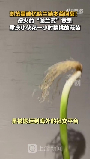 葡萄牙世界杯直播_2026美加墨世界杯葡萄牙免费直播_世界杯在线高清视频无插件
